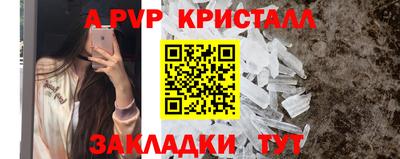 прущие грибы Волгодонск