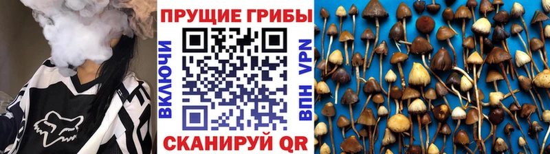 Псилоцибиновые грибы мухоморы  купить наркотик  ссылка на мегу ссылка  Воркута 