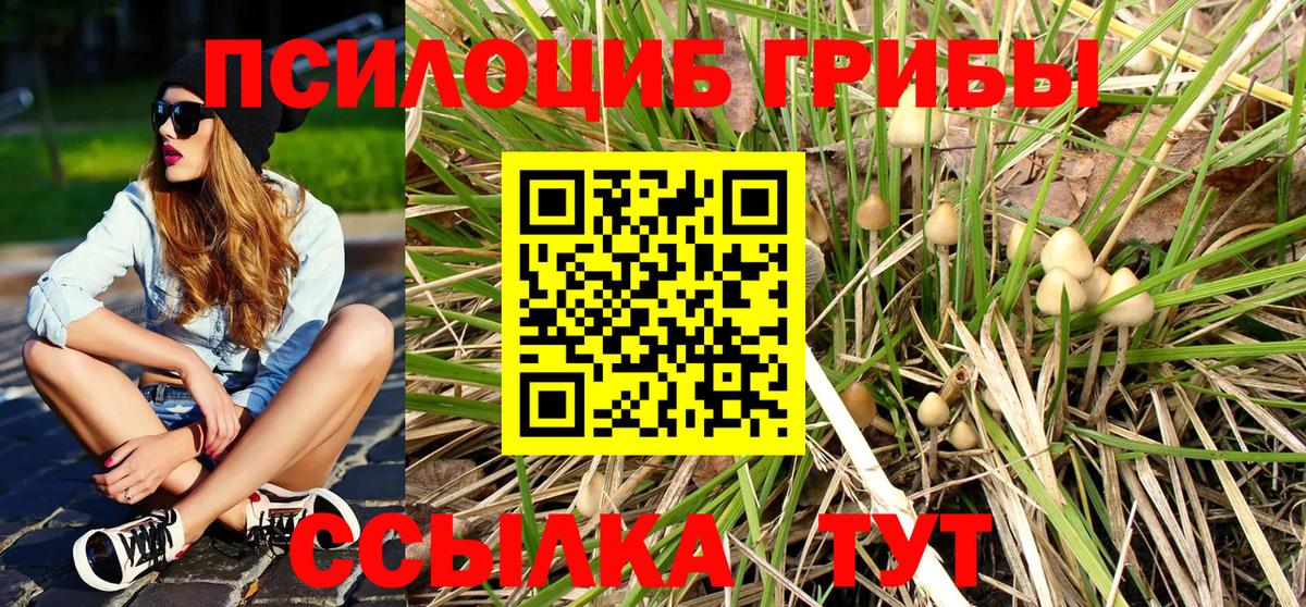 Псилоцибиновые грибы Magic Shrooms  Вход с VPN  Воркута 