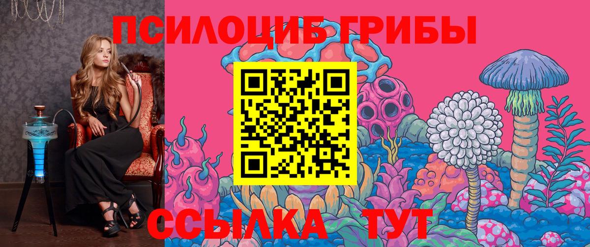 Псилоцибиновые грибы Psilocybine cubensis Воркута