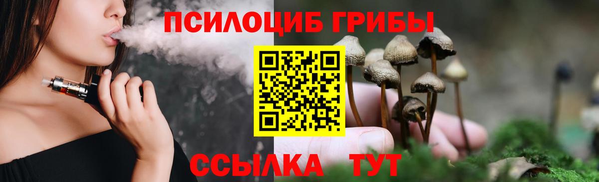 Галлюциногенные грибы Psilocybe Воркута